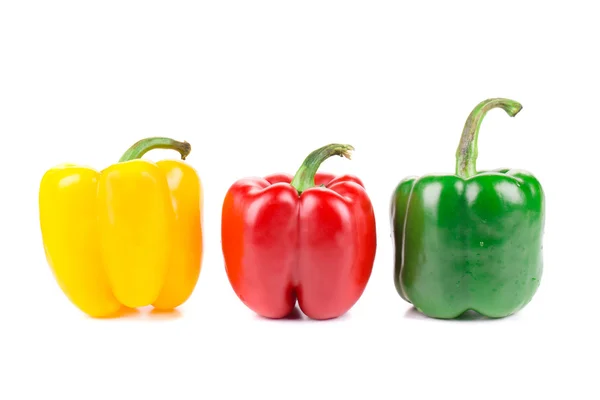 Three colorful peppers. — Stock Photo, Image