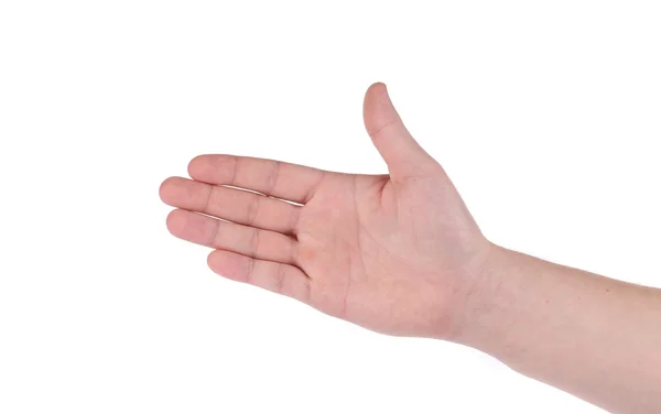 Open palm hand gesture — Stock Photo, Image