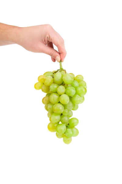 Hand holds white grapes. — Stock Photo, Image