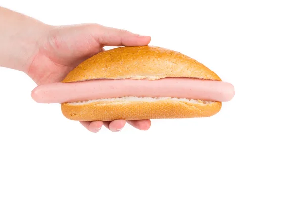 Hand holding hotdog. — Stockfoto