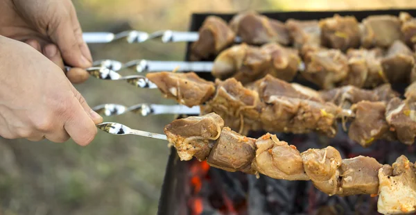 Meat shish kebab. — Stock Photo, Image
