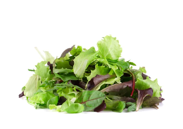 Listy salátu. — Stock fotografie