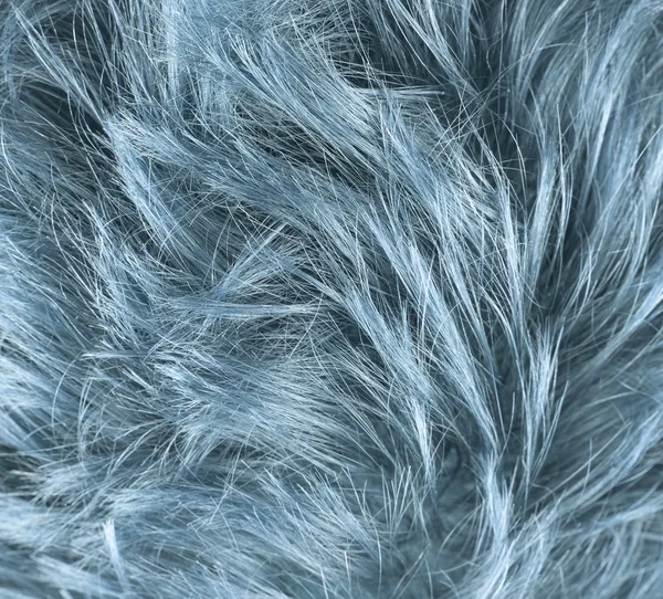 Cabelo de cor azul . — Fotografia de Stock