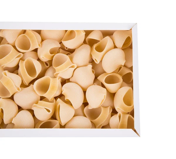 Uncooked pasta lumaconi — Stock Photo, Image