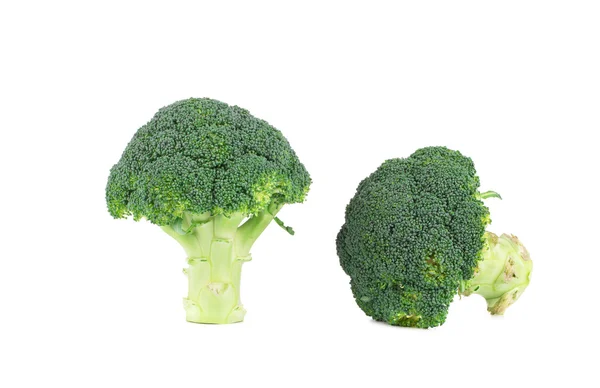 Broccoli — Stockfoto