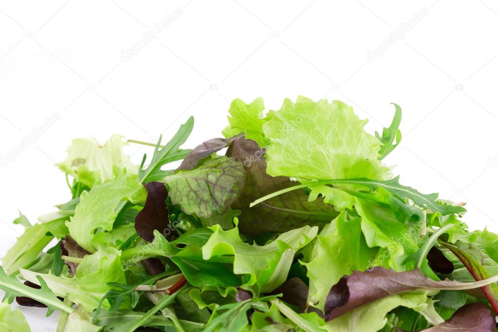 Leaves of lettuce.