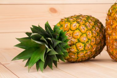 ananas portre
