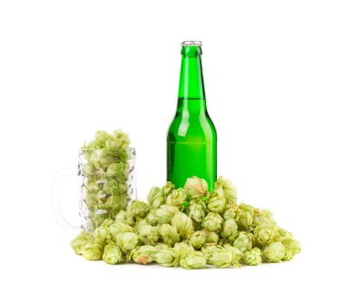 bira bira cam ve hop 