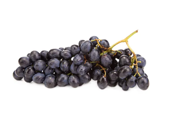 Black grapes — Stock Photo, Image