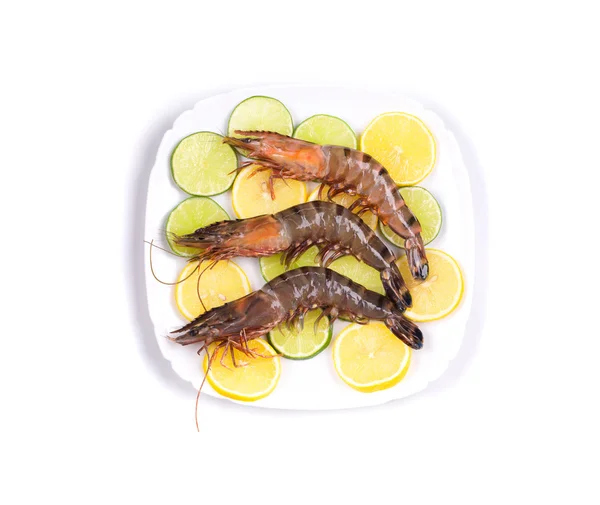 Raw tiger shrimps — Stock Photo, Image