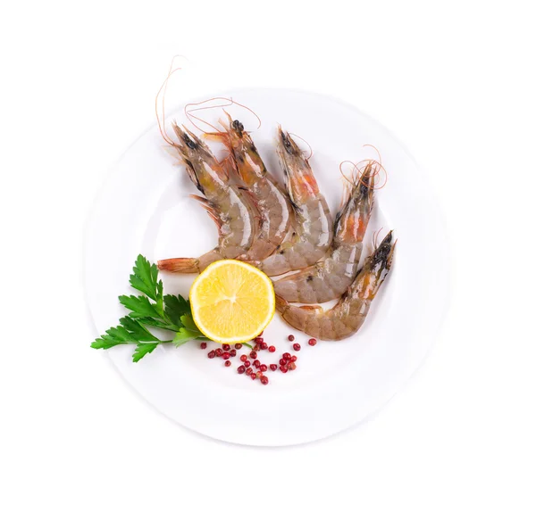 Raw tiger shrimps — Stock Photo, Image