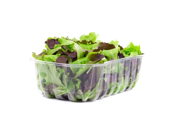 Doos met sla salade. — Stockfoto