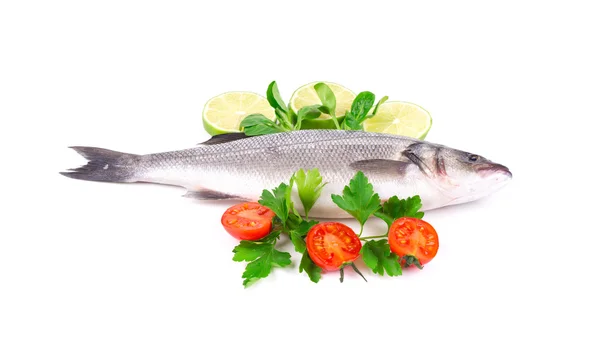 Seabass with tomatoes and basil. — Stock Photo, Image