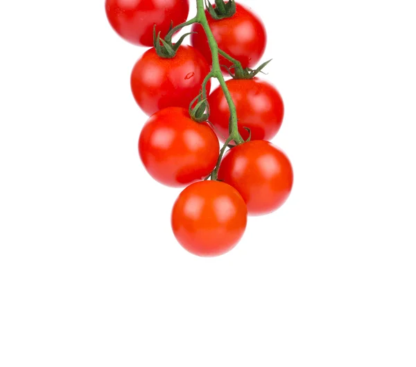 Tomates cereja . — Fotografia de Stock