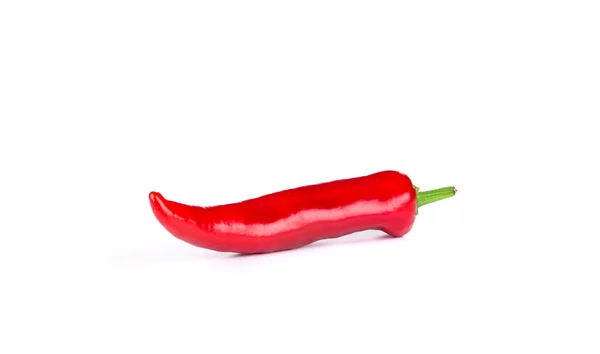 Rote Chilischote. — Stockfoto