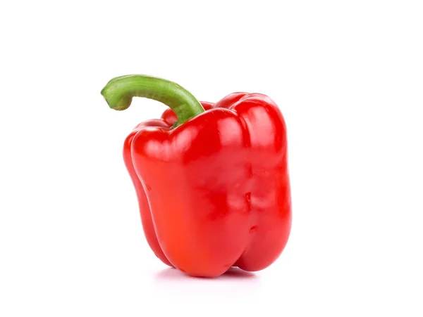 Zralé červené papriky. — Stock fotografie