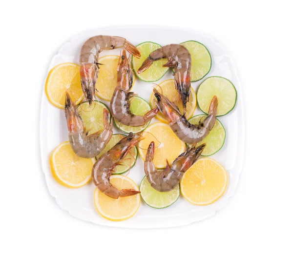 Raw shrimps — Stock Photo, Image