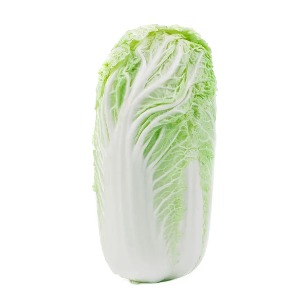 Chinese cabbage. — Stock Photo, Image