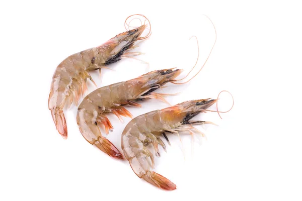 Three raw shrimps. — Stock Photo, Image