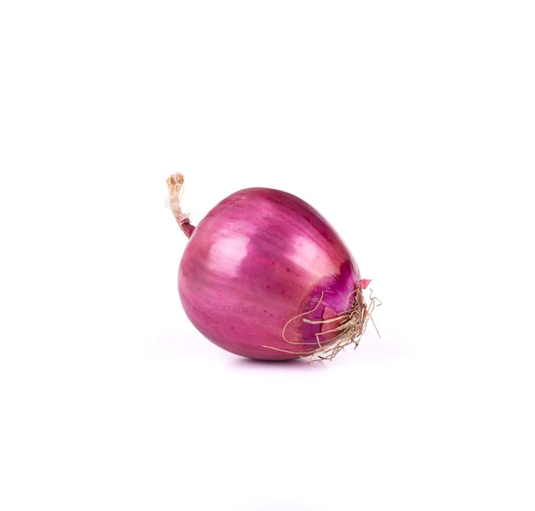 Red onion bulb. — Stock Photo, Image