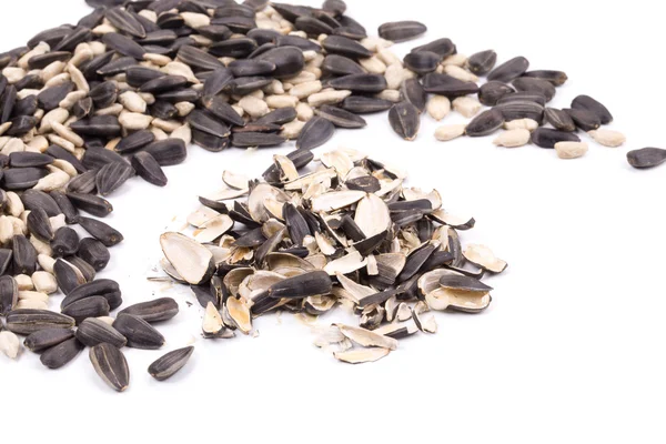 Sunflower seeds — Stock Photo, Image