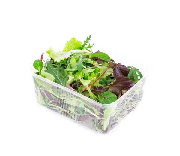 Salad mix in box. — Stock Photo, Image