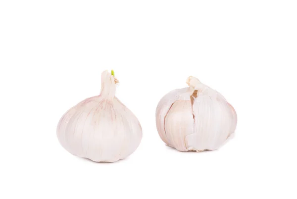 Fresh garlic. — Stock Photo, Image