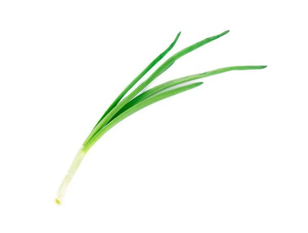 Green onion. — Stock Photo, Image