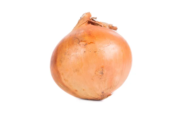 Ripe onion. — Stock Photo, Image