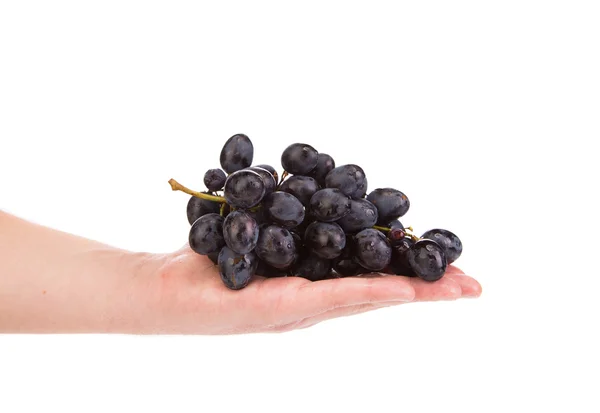 Hand holding red grape fruit — Stock Photo, Image