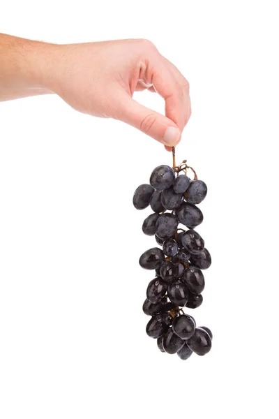 Hand holding red grape fruit — Stock Photo, Image