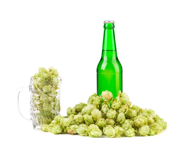 Mug with hop and bottle of beer. — Stock Photo, Image