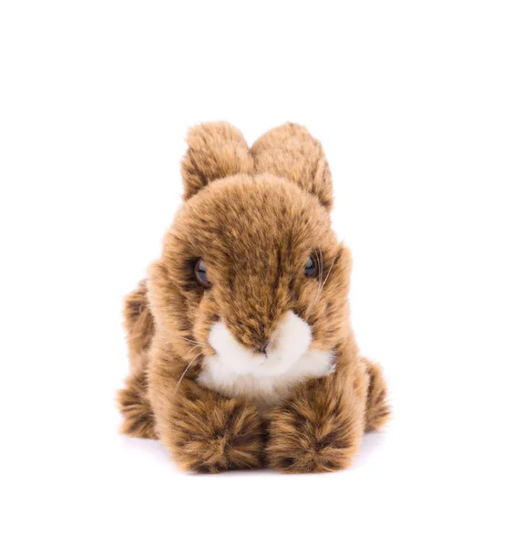 Velikonoční plyšový králík. — Stock fotografie