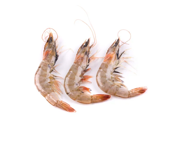 Three fresh shrimps. — Stock Photo, Image