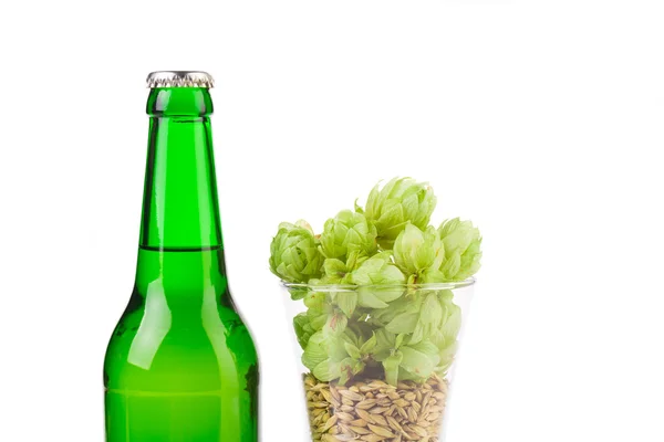 Luppolo in vetro e una bottiglia di birra — Foto Stock