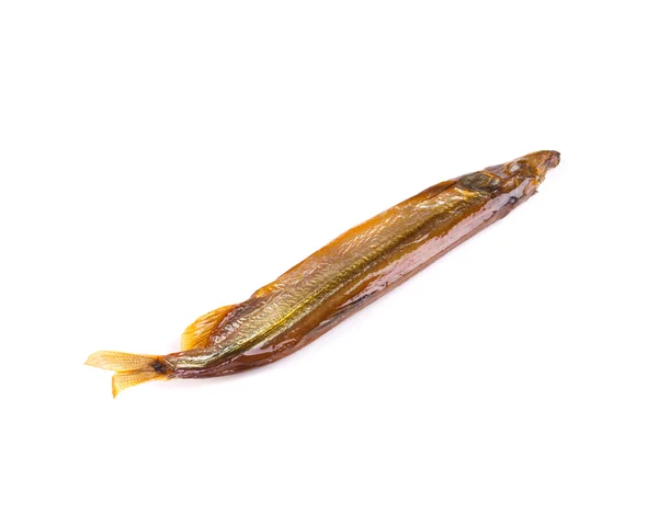 Räucherfisch isoliert — Stockfoto