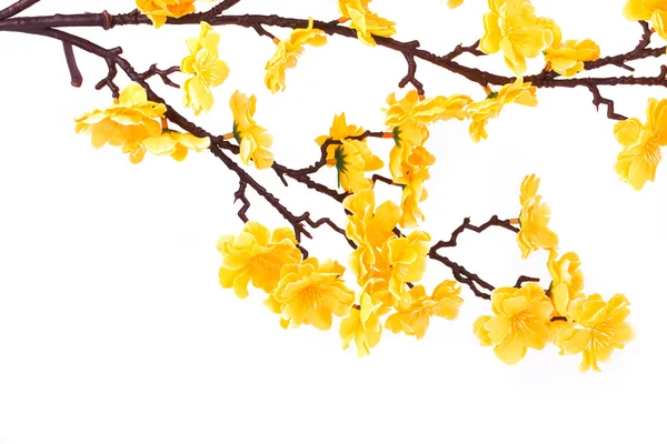 Искусственные жёлтые цветы — стоковое фото