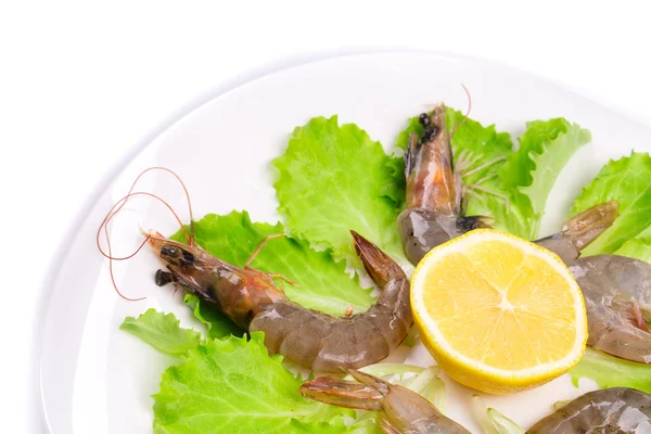 Delicious fresh shrimps with lemon — Stock Photo, Image