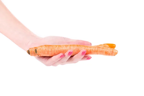 Рука тримає букет моркви — стокове фото