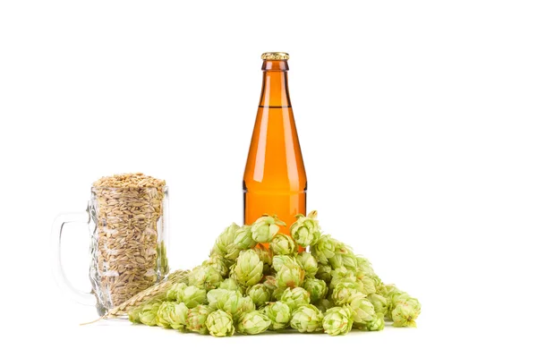 Bottle of beer and hop in glass — Stock Photo, Image