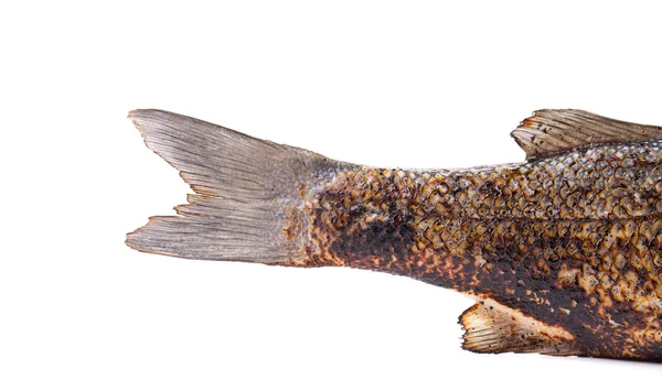 Ryba smażona na białym tle — Zdjęcie stockowe