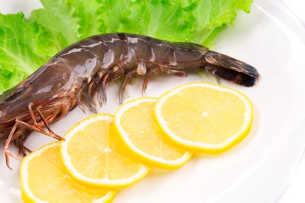 Vue du dessus des crevettes fraîches du Golfe — Photo