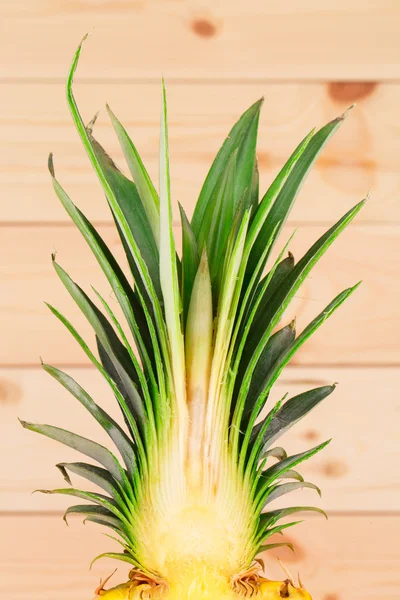 Gesneden ananas — Stockfoto