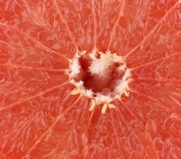 Grapefruit slice close-up — Stockfoto