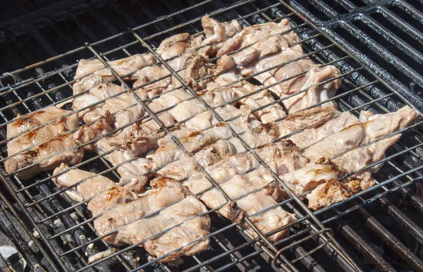 Grilled meat in special fixture. — Stock Photo, Image