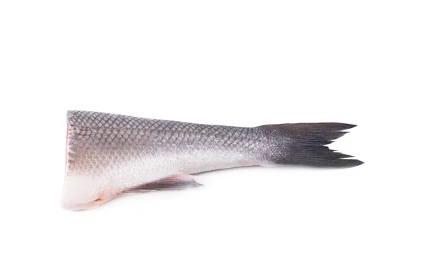 Schwanz von rohem Fisch. — Stockfoto