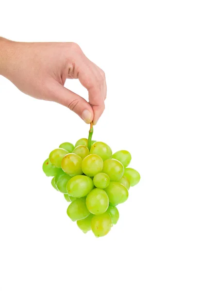 Uvas blancas en mano . —  Fotos de Stock