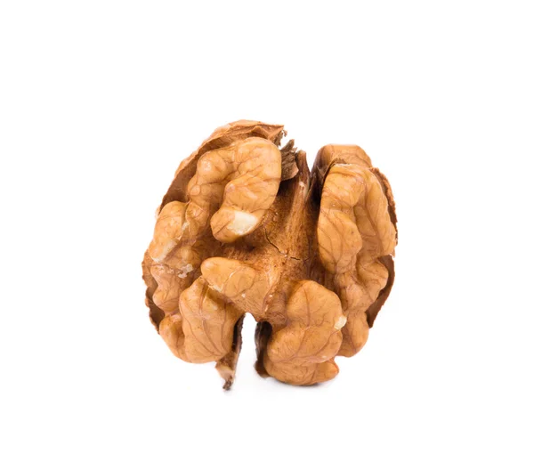 Kernel walnut. — Stock Photo, Image