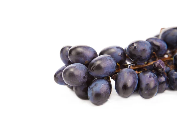 Букет стиглого і соковитого чорного винограду . — стокове фото