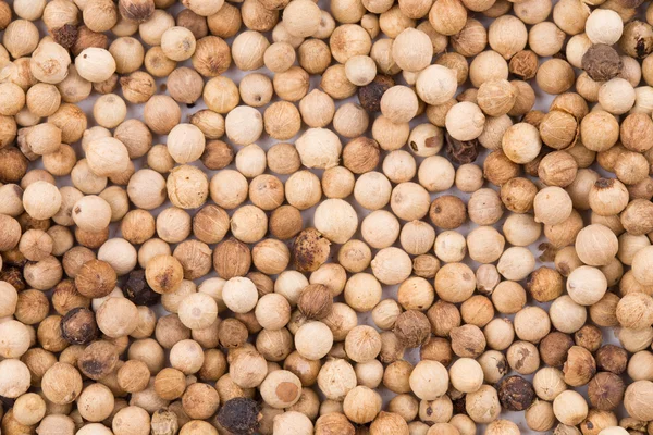 Background of the white pepper. — Stock Photo, Image